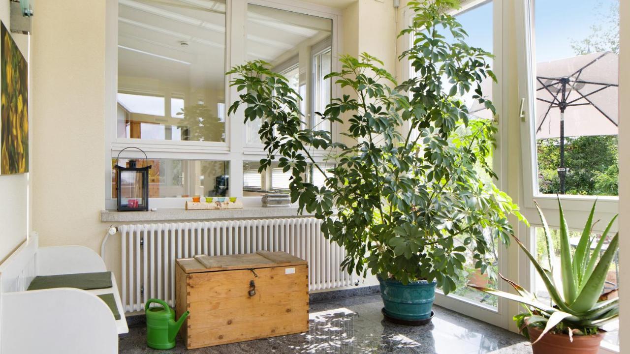 Ferienwohnung Zum Goldenen Kopf エルツァッハ エクステリア 写真