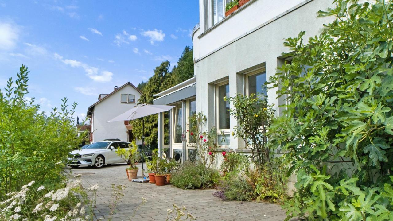 Ferienwohnung Zum Goldenen Kopf エルツァッハ エクステリア 写真